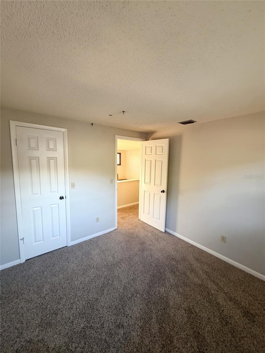 Guest Bedroom 2 Alt View - 14714 OAK VINE DR, LUTZ