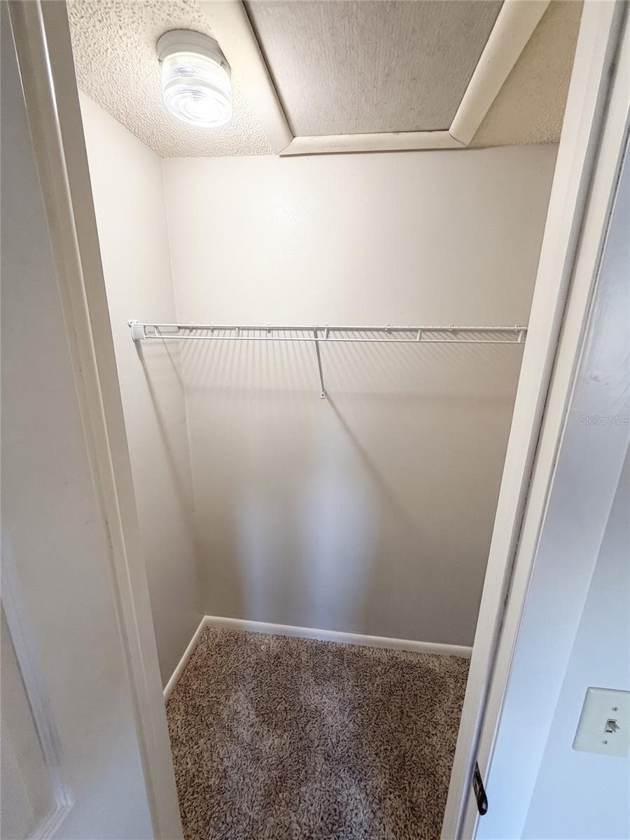 Guest Bedroom 2 Closet - 14714 OAK VINE DR, LUTZ