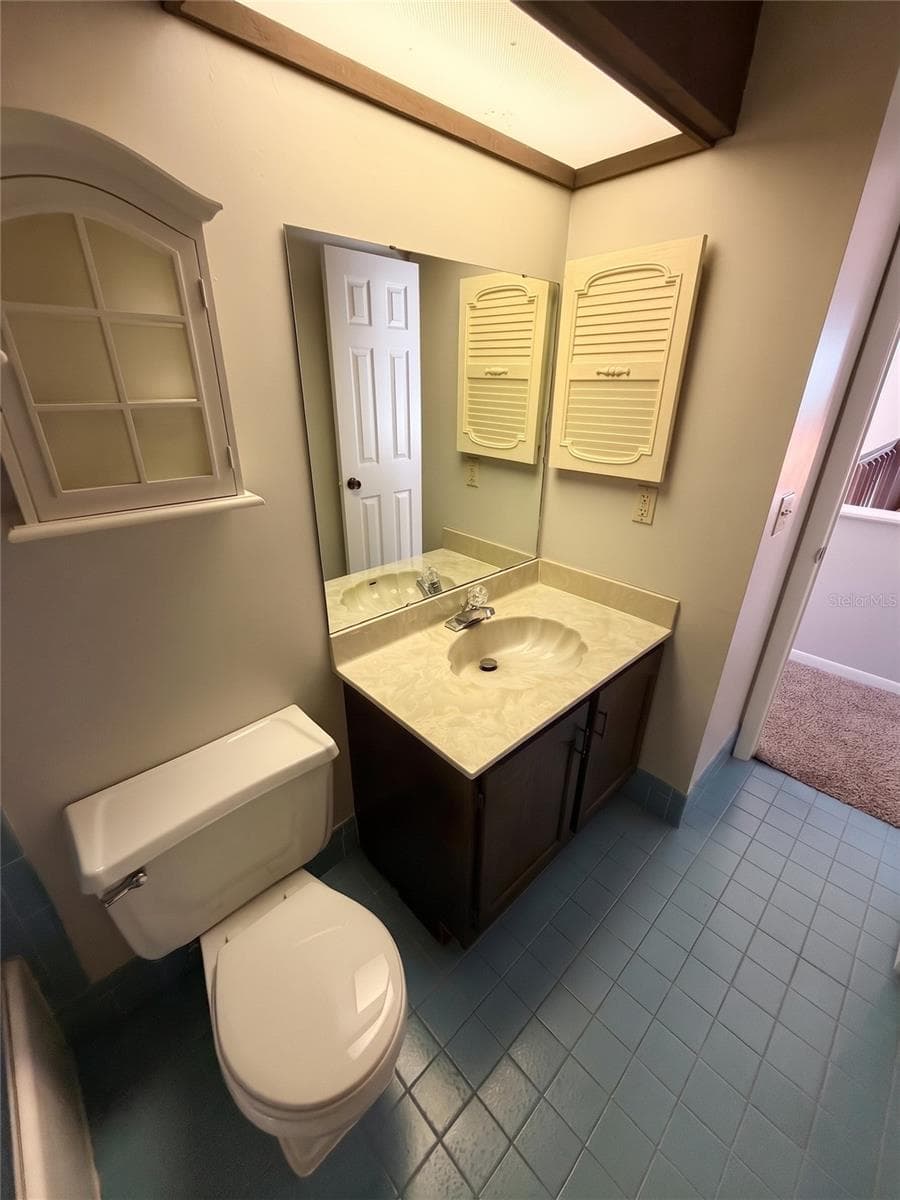 Bathroom 2 Alt View - 14714 OAK VINE DR, LUTZ