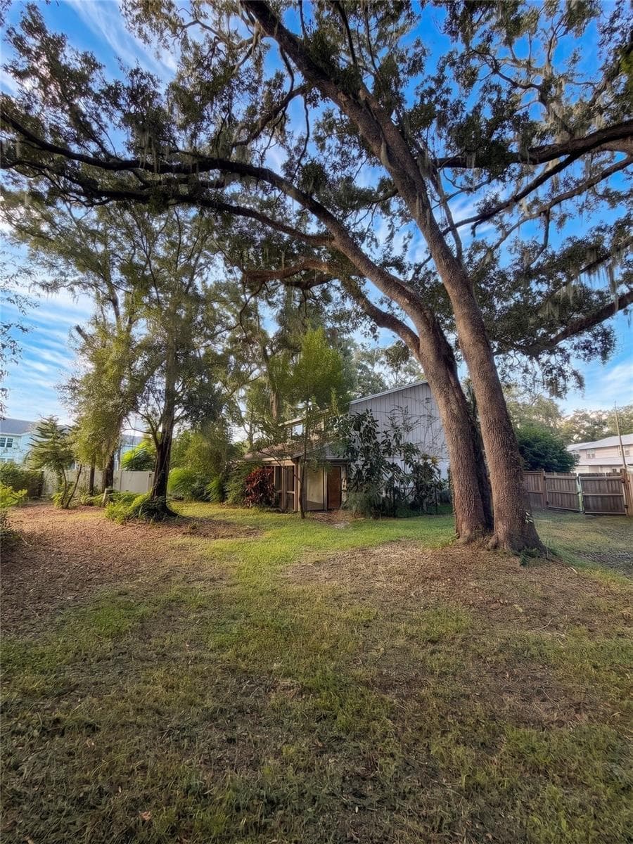 Back Right Alt View - 14714 OAK VINE DR, LUTZ
