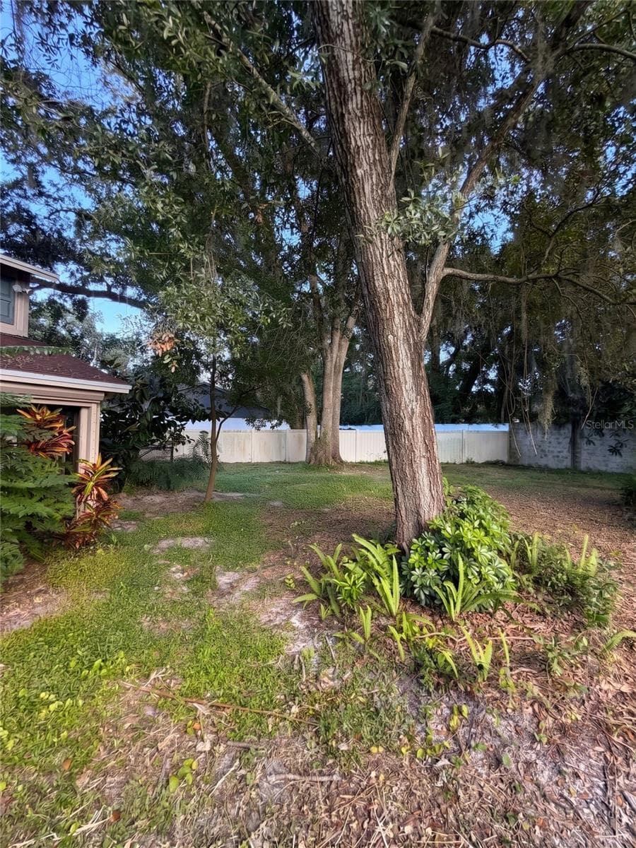 Back Yard Alt View - 14714 OAK VINE DR, LUTZ