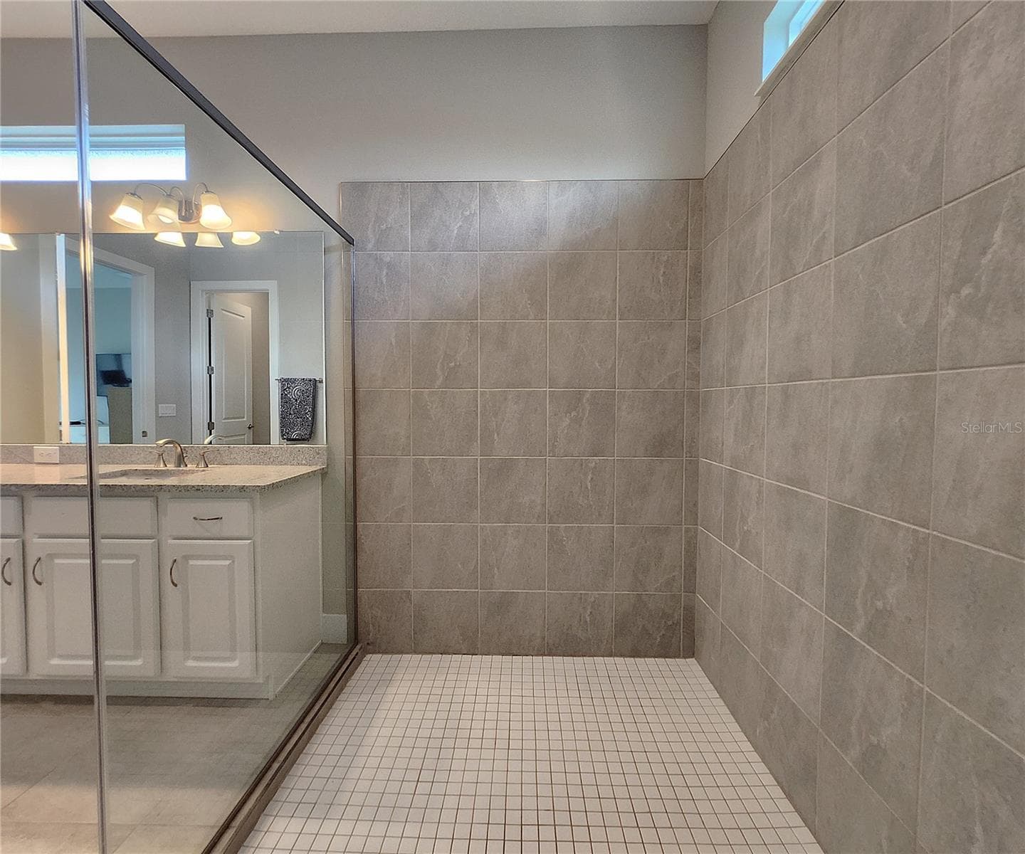 Master bathroom includes large walk-in tiled shower, water closet, walk-in closet, dual sink vanity, granite countertops - 8896 DRUMMER PLANK DR, WESLEY CHAPEL