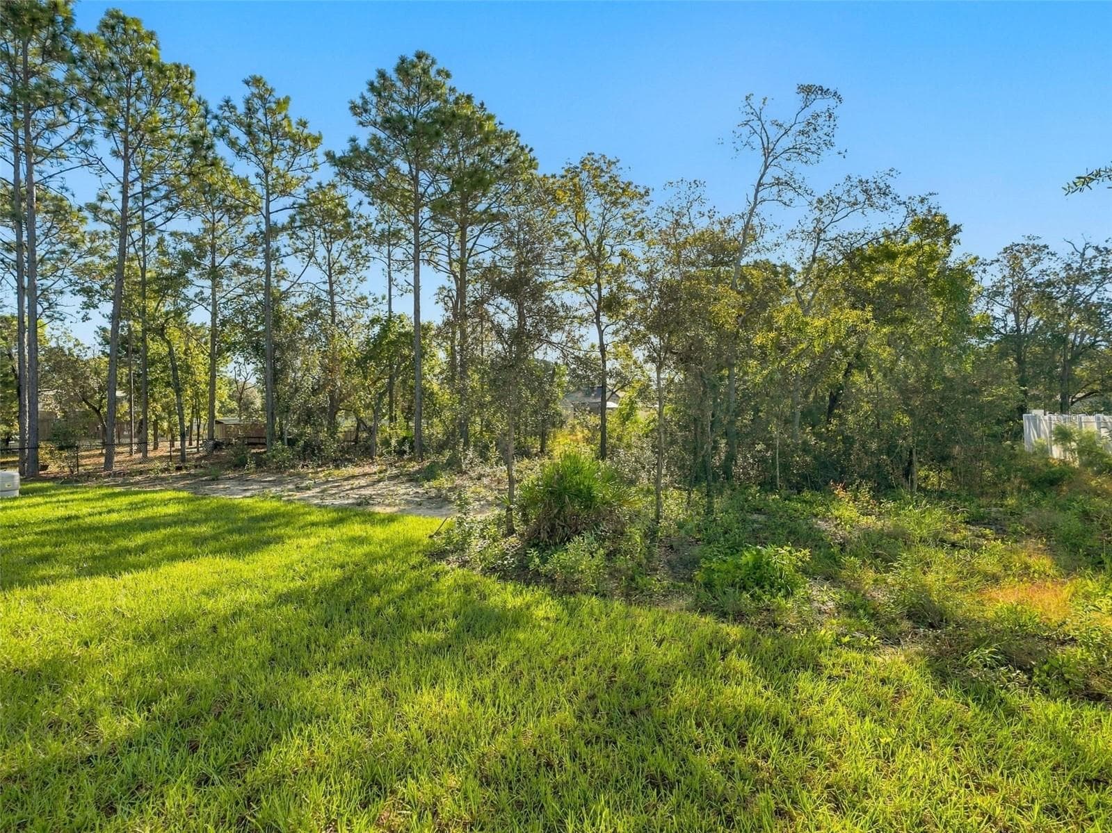 Single Family Residence at 11250 HUMBER RD, WEEKI WACHEE, photo 39 of 53