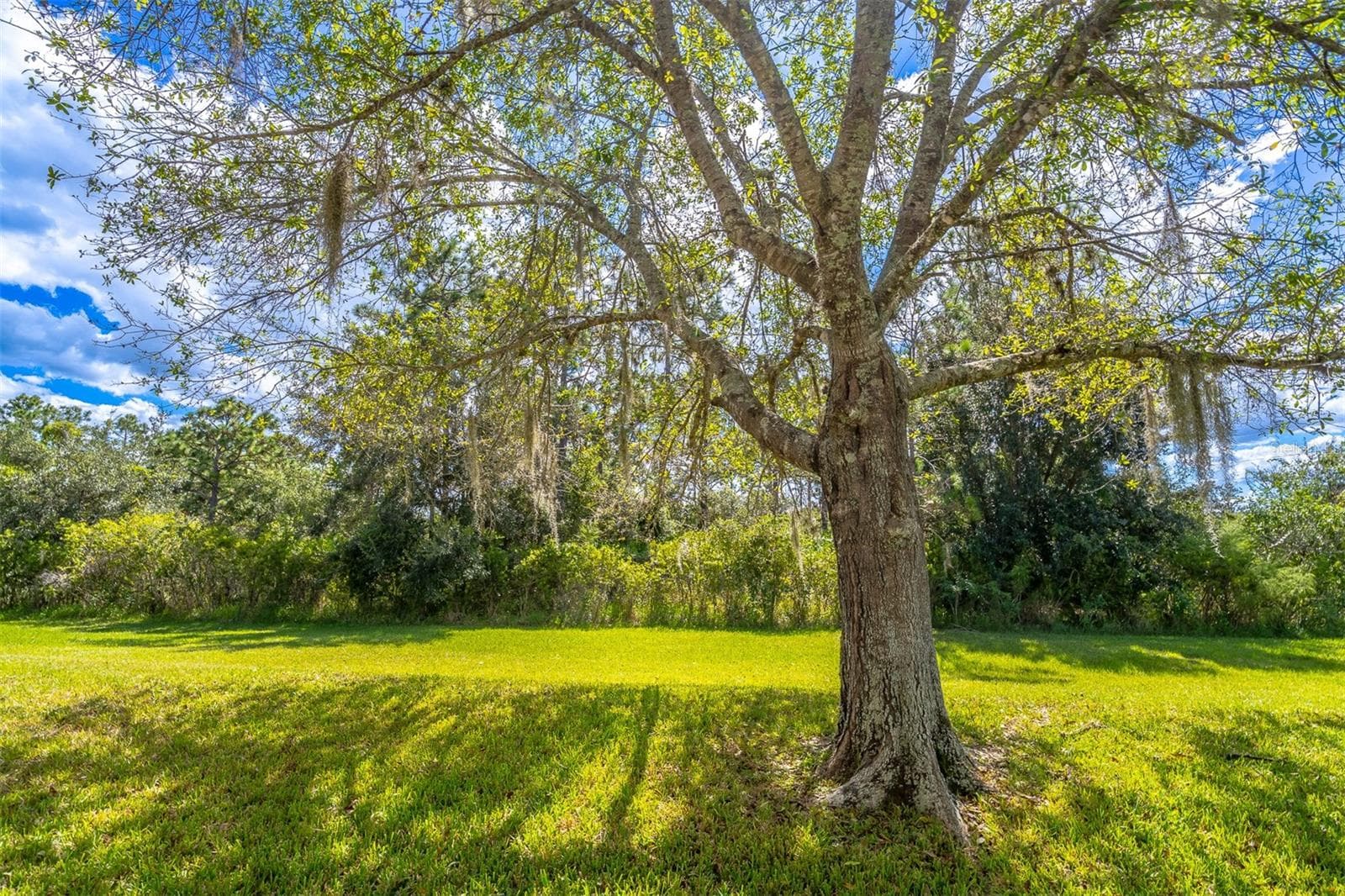 Single Family Residence at 3548 BENSON PARK BLVD, ORLANDO, photo 39 of 41