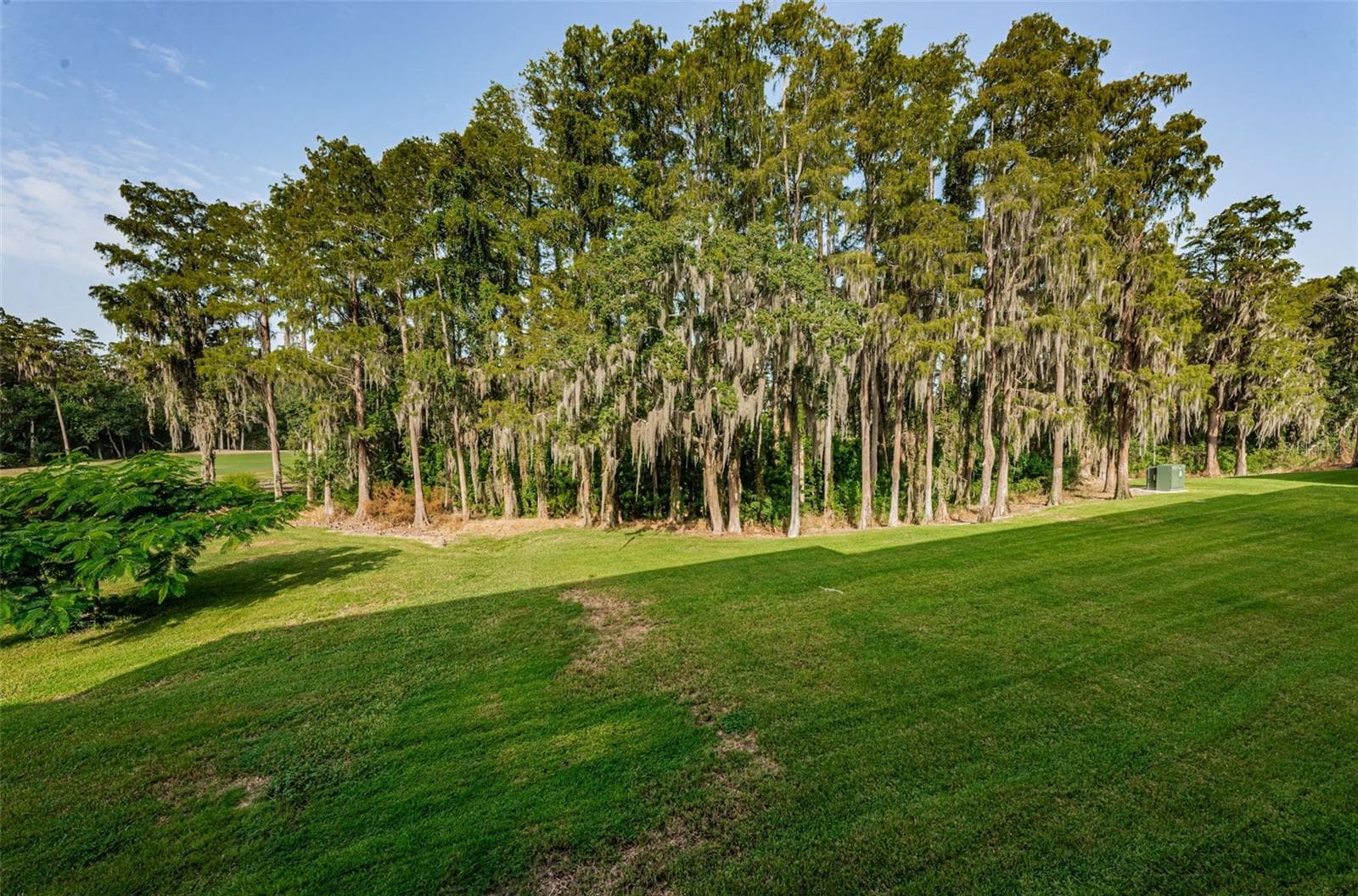 Condominium at 36750 US HIGHWAY 19 N #3-209, PALM HARBOR, photo 3 of 99