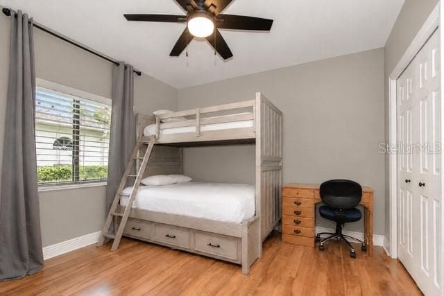 Bedroom 3 - 20622 BROADWATER DR, LAND O LAKES