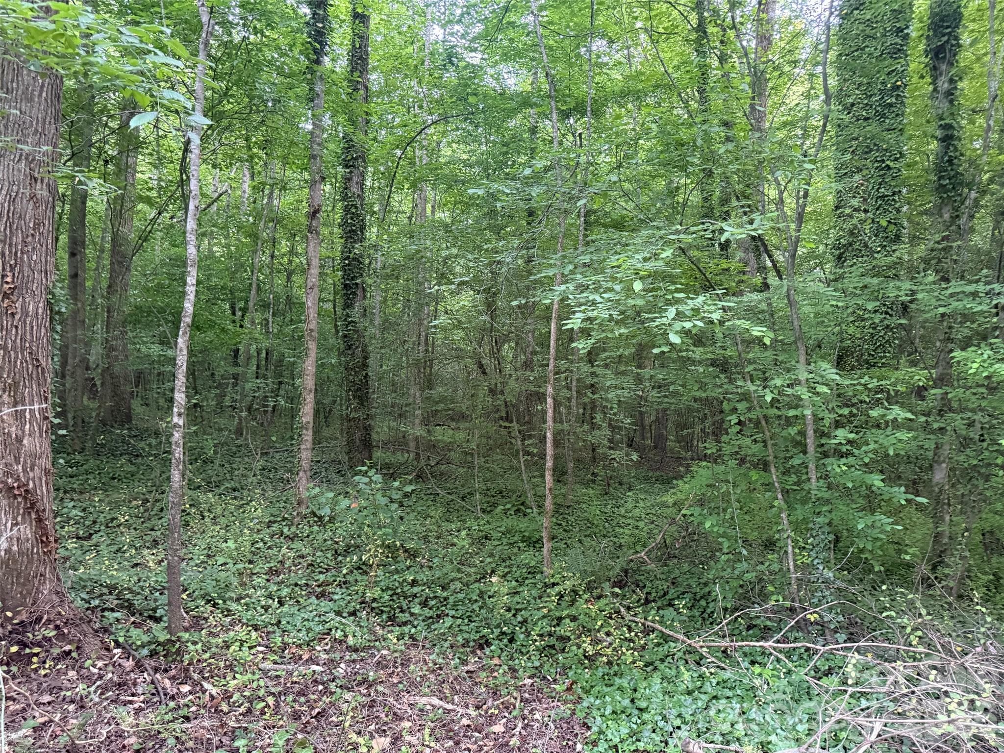 00 Winterhaven Road Road
