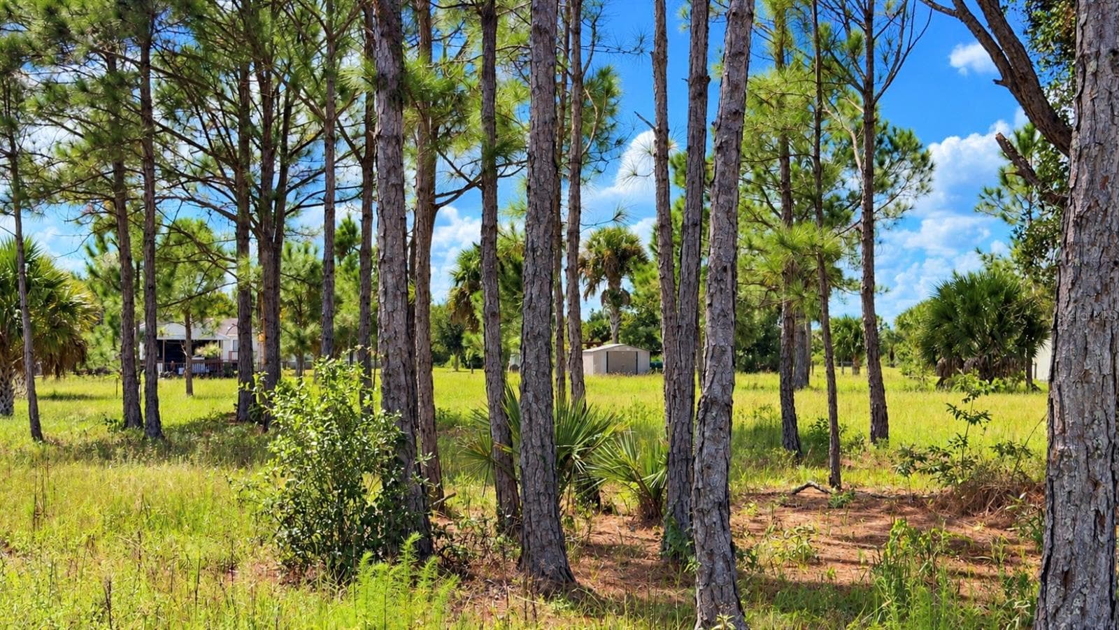 Land at 19788 NW 284TH ST, OKEECHOBEE, photo 5 of 10