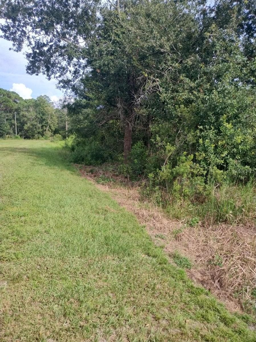 Land at 2900 W SHULA RD, AVON PARK, photo 2 of 11