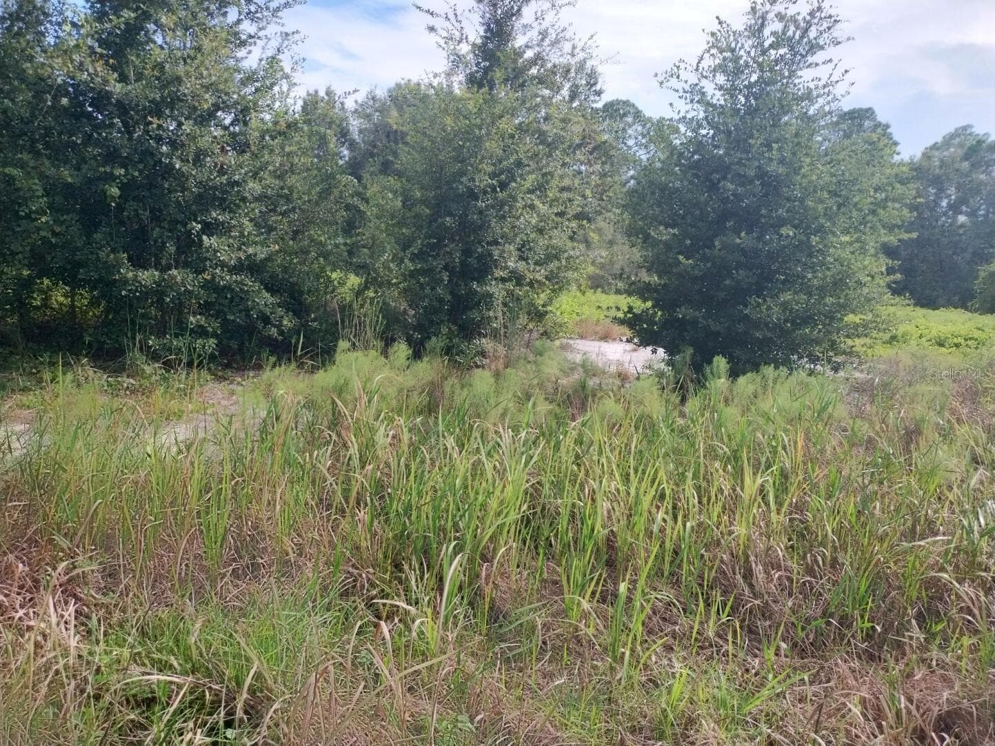 Land at 2900 W SHULA RD, AVON PARK, photo 3 of 11