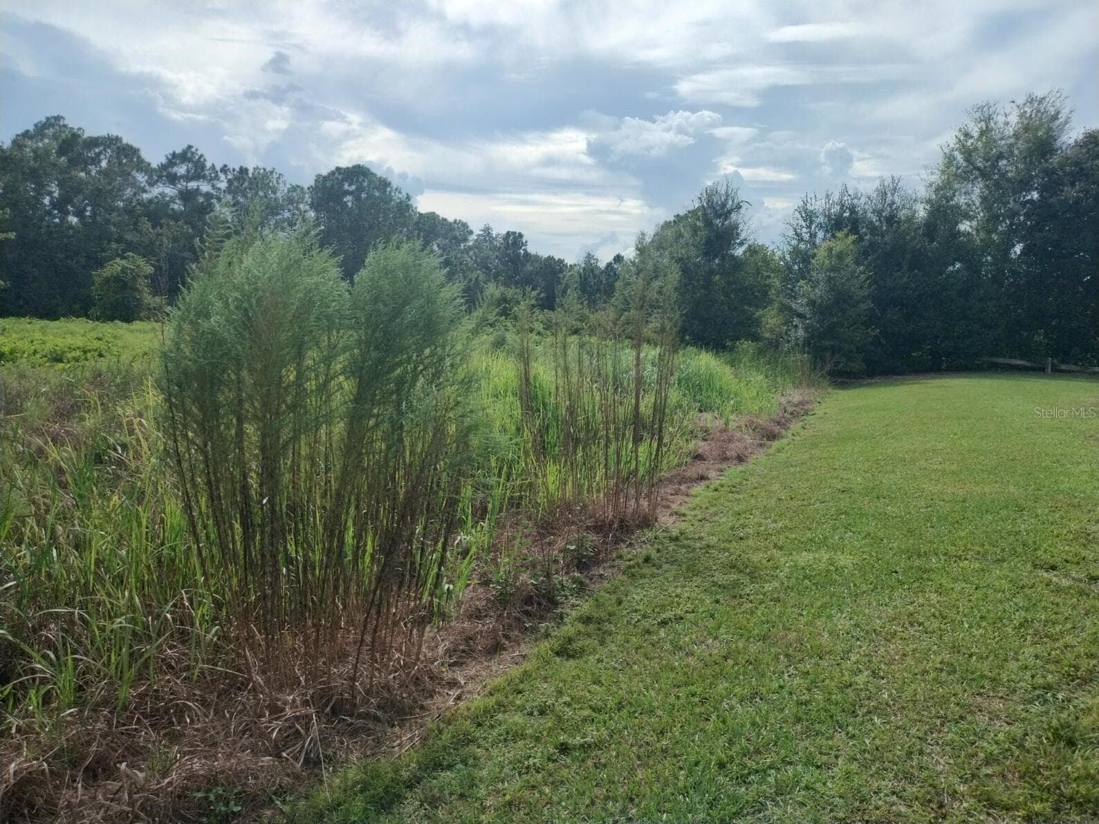 Land at 2900 W SHULA RD, AVON PARK, photo 4 of 11