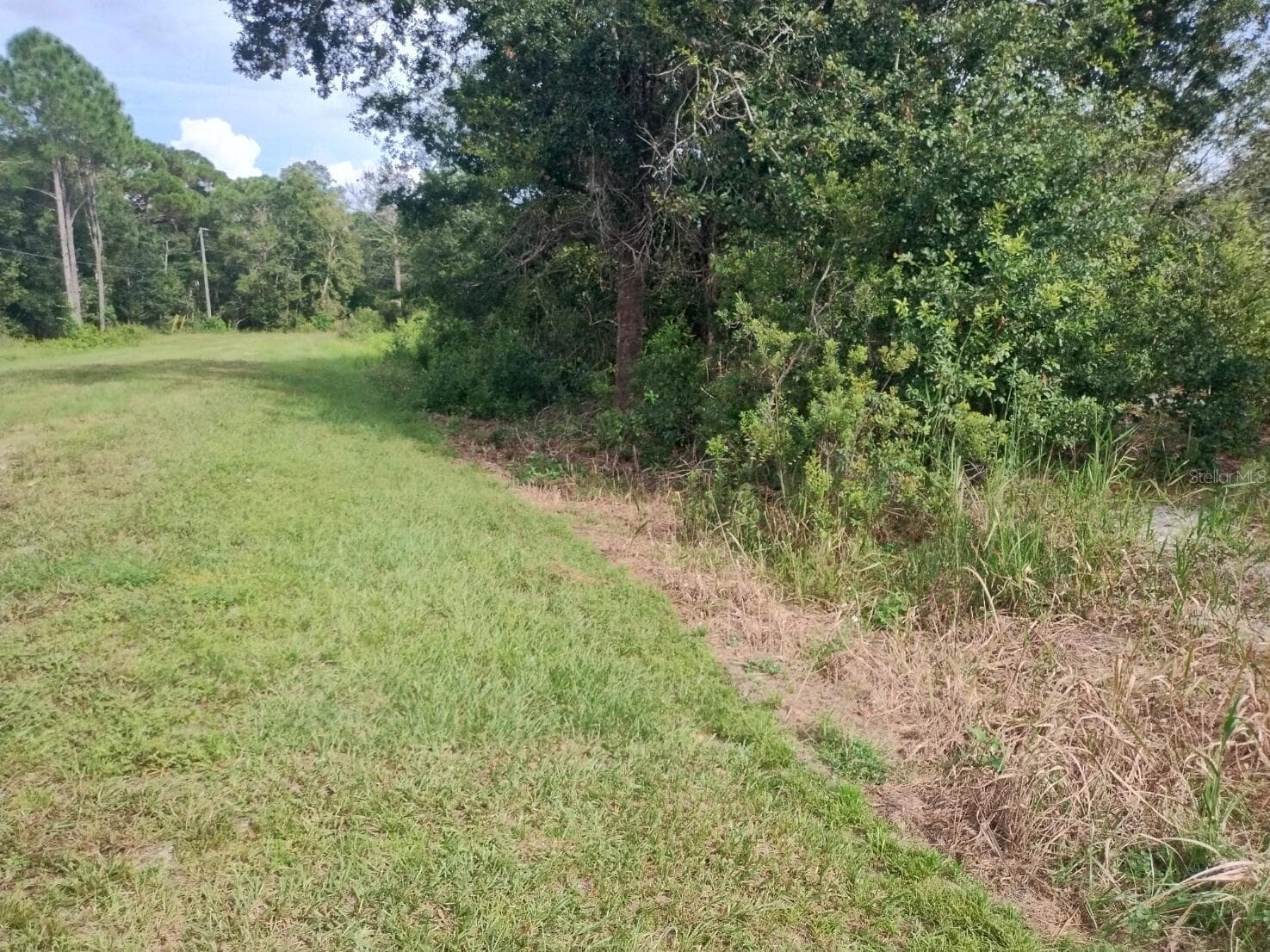 Land at 2900 W SHULA RD, AVON PARK, photo 5 of 11
