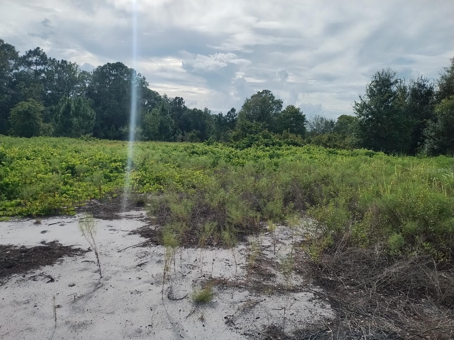 Land at 2900 W SHULA RD, AVON PARK, photo 6 of 11