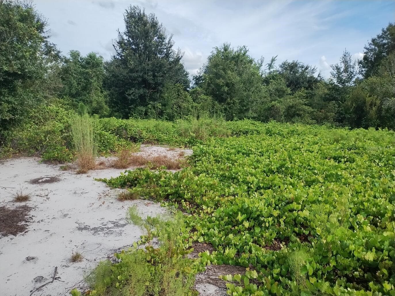 Land at 2900 W SHULA RD, AVON PARK, photo 7 of 11