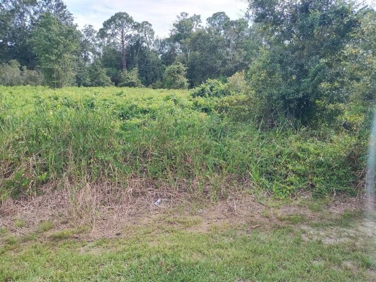 Land at 2900 W SHULA RD, AVON PARK, photo 10 of 11