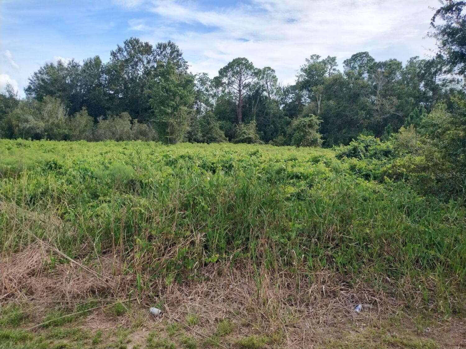 Land at 2900 W SHULA RD, AVON PARK, photo 11 of 11
