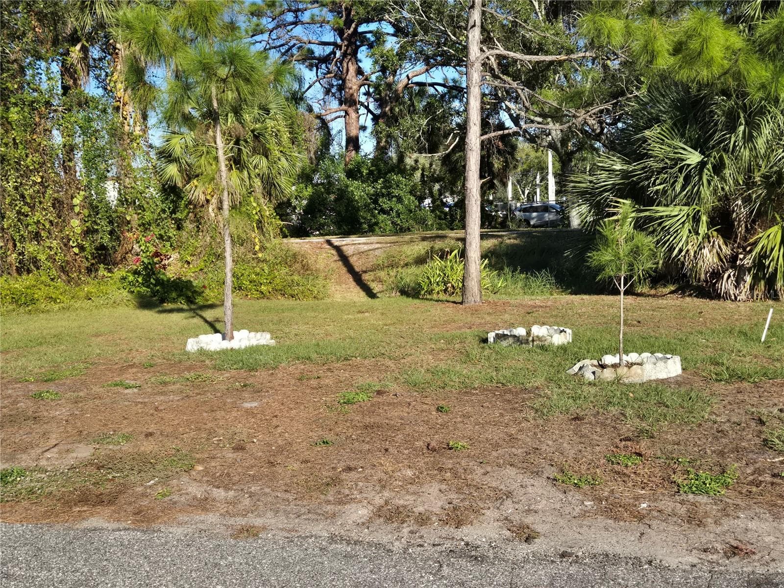 Land at 424 HATCHETT CREEK RD, VENICE, photo 5 of 10