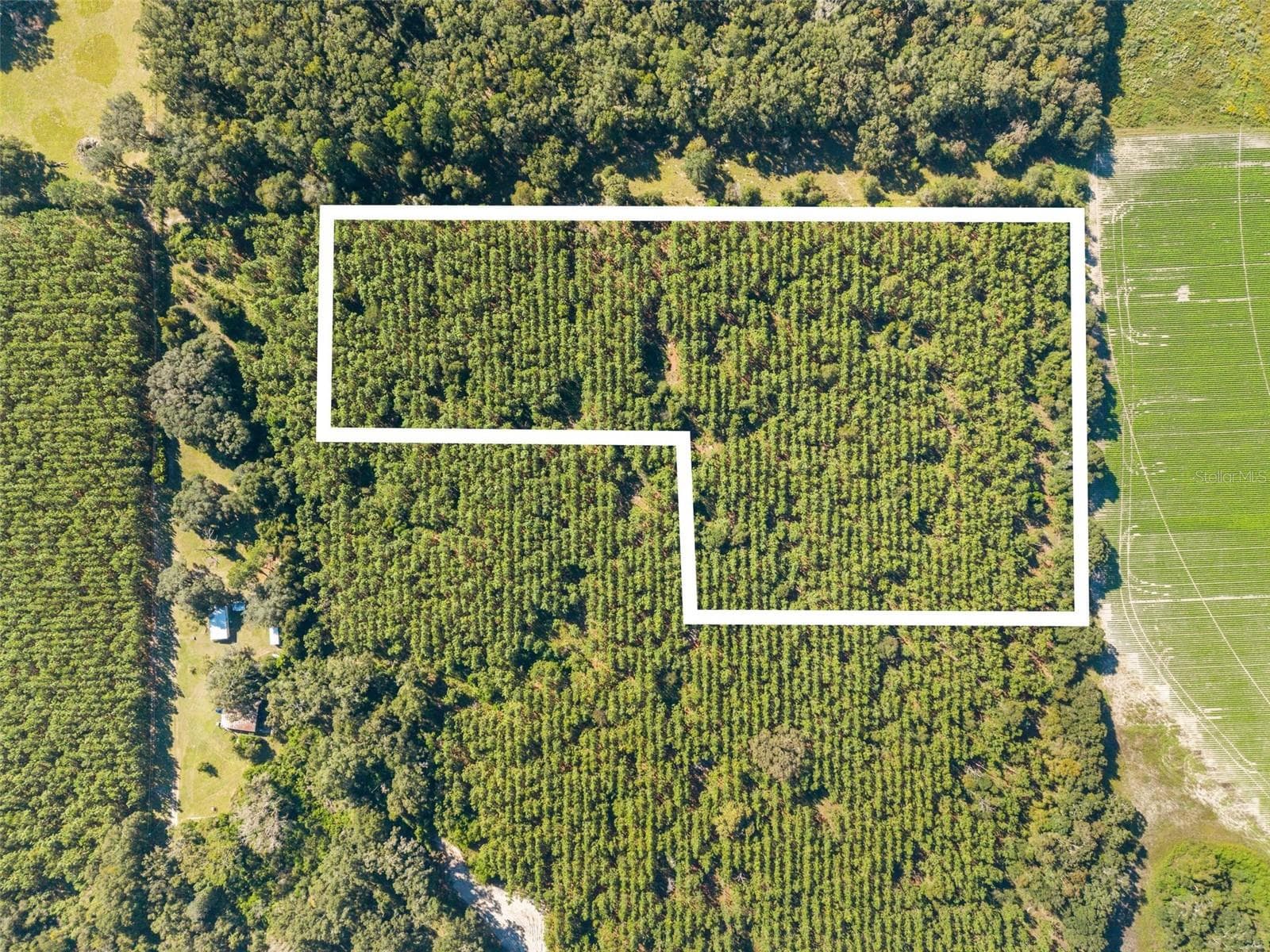 Land at Land, HIGH SPRINGS, photo 13 of 19