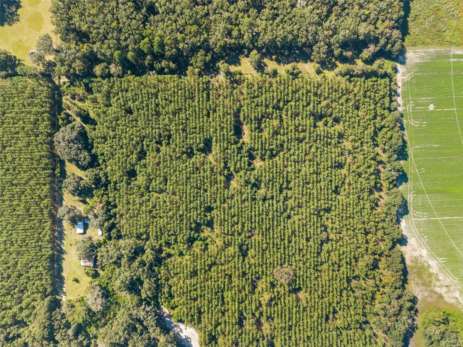 Land at Land, HIGH SPRINGS, photo 14 of 19