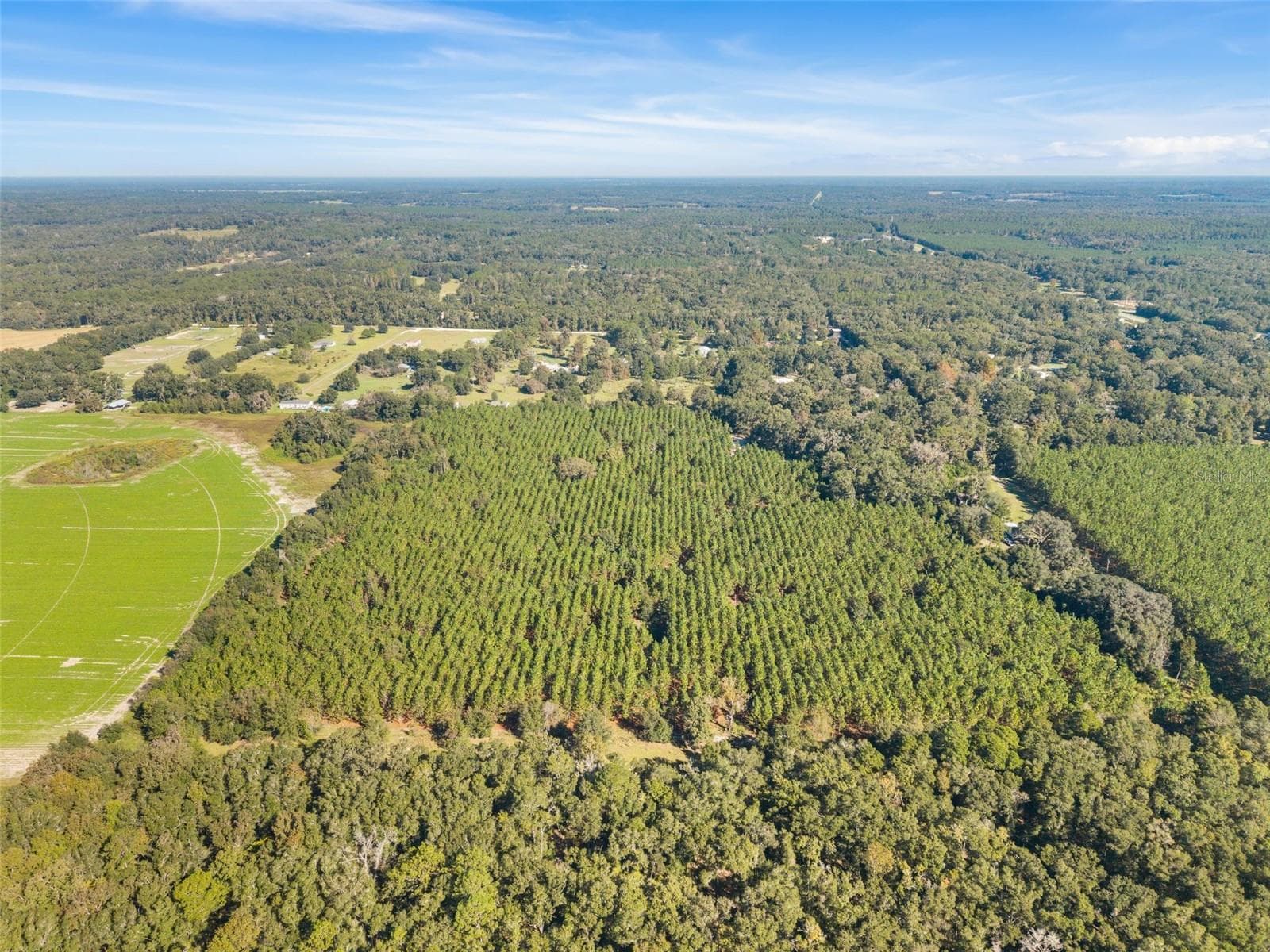 Land at Land, HIGH SPRINGS, photo 17 of 19