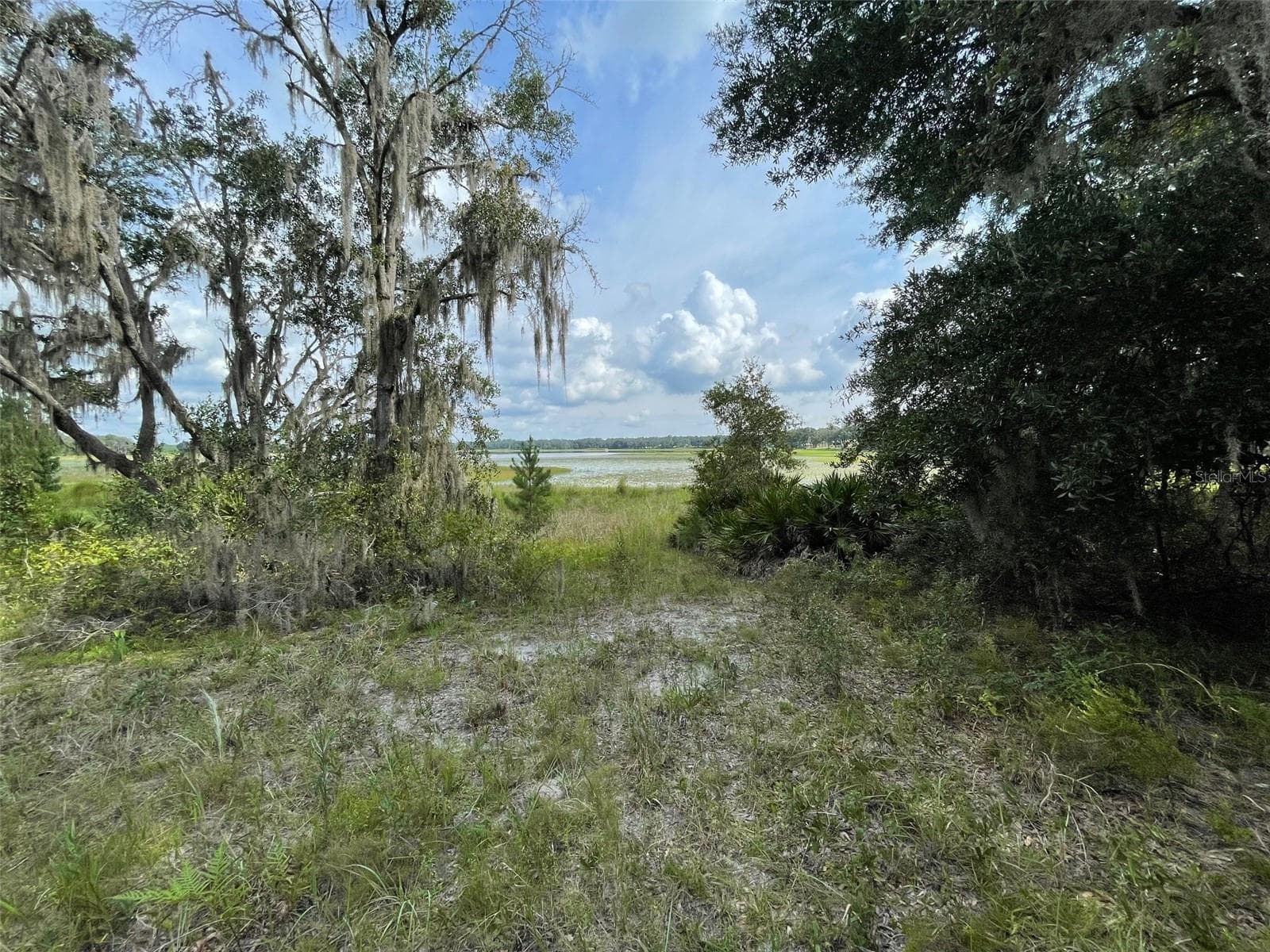 Land at LOTS 462 & 463 SW SHOREWOOD DR, DUNNELLON, photo 2 of 12