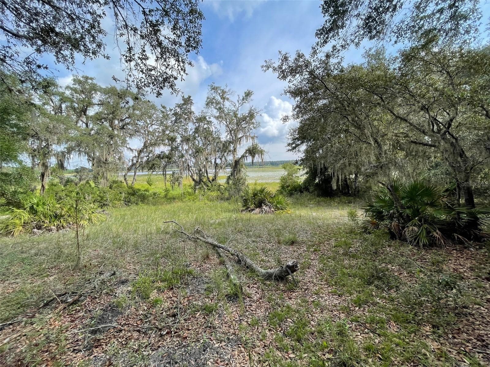 Land at LOTS 462 & 463 SW SHOREWOOD DR, DUNNELLON, photo 3 of 12