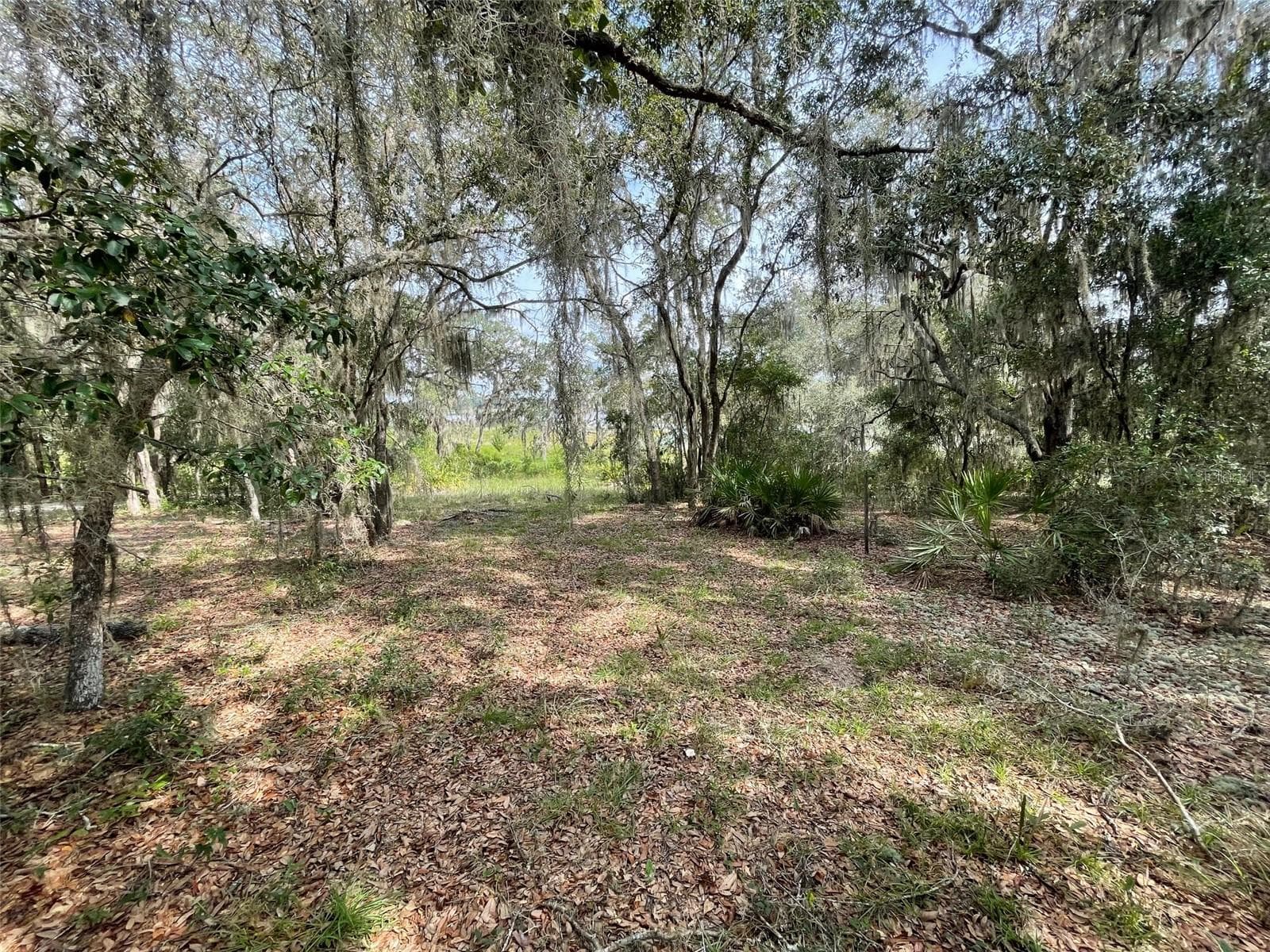 Land at LOTS 462 & 463 SW SHOREWOOD DR, DUNNELLON, photo 4 of 12