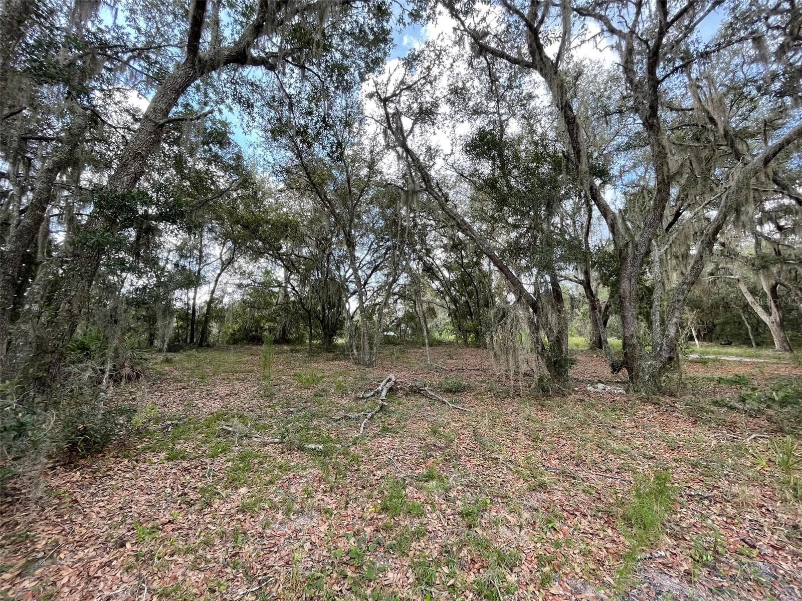 Land at LOTS 462 & 463 SW SHOREWOOD DR, DUNNELLON, photo 5 of 12
