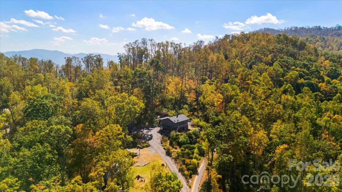 Single Family Residence at 854 Ox Creek Crest Lane, Weaverville, photo 41 of 43