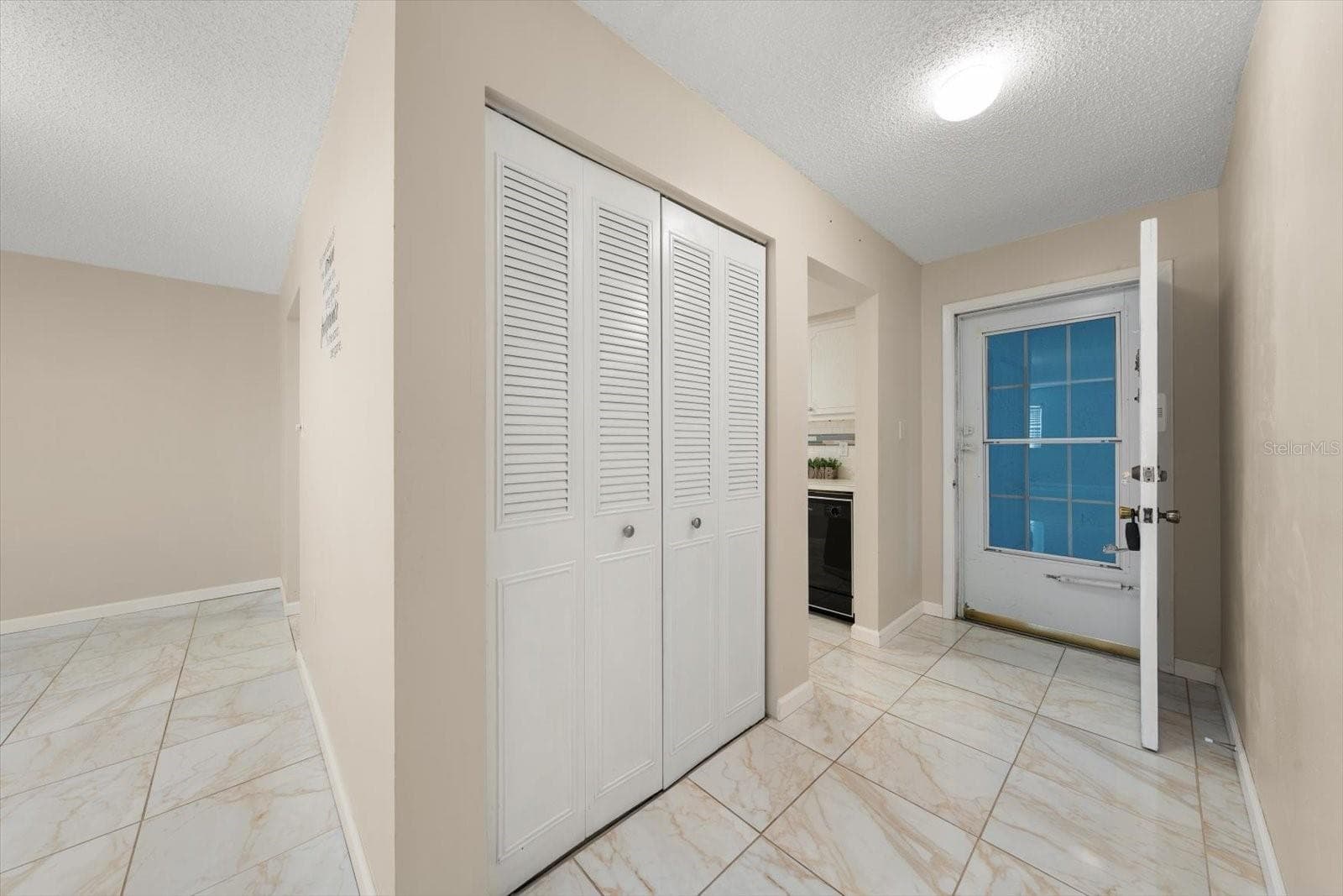 Entry and pantry closet - 1706 BELLEAIR FOREST DR #238, BELLEAIR