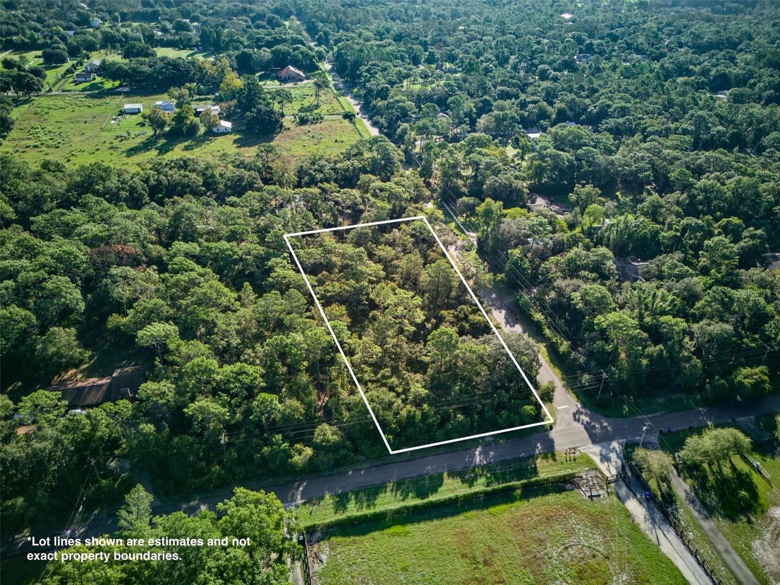 Land at 0 HIAWATHA RD, ODESSA, photo 2 of 10