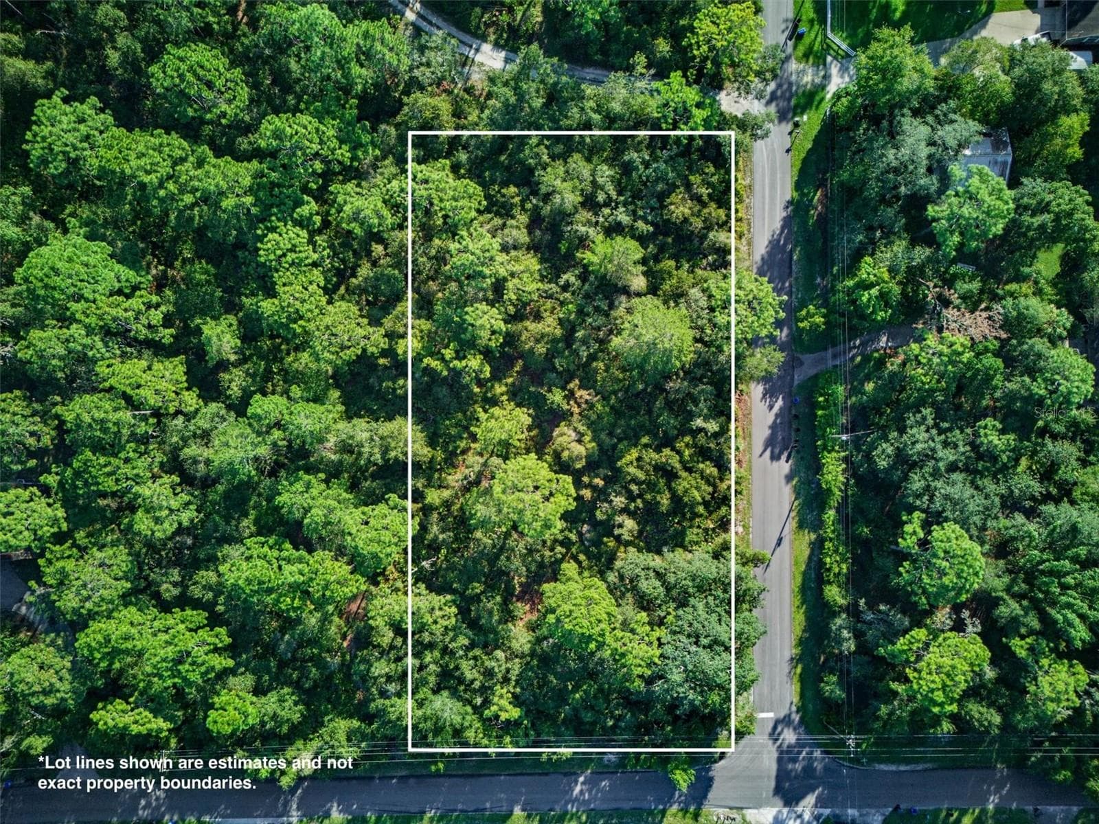 Land at 0 HIAWATHA RD, ODESSA, photo 6 of 10