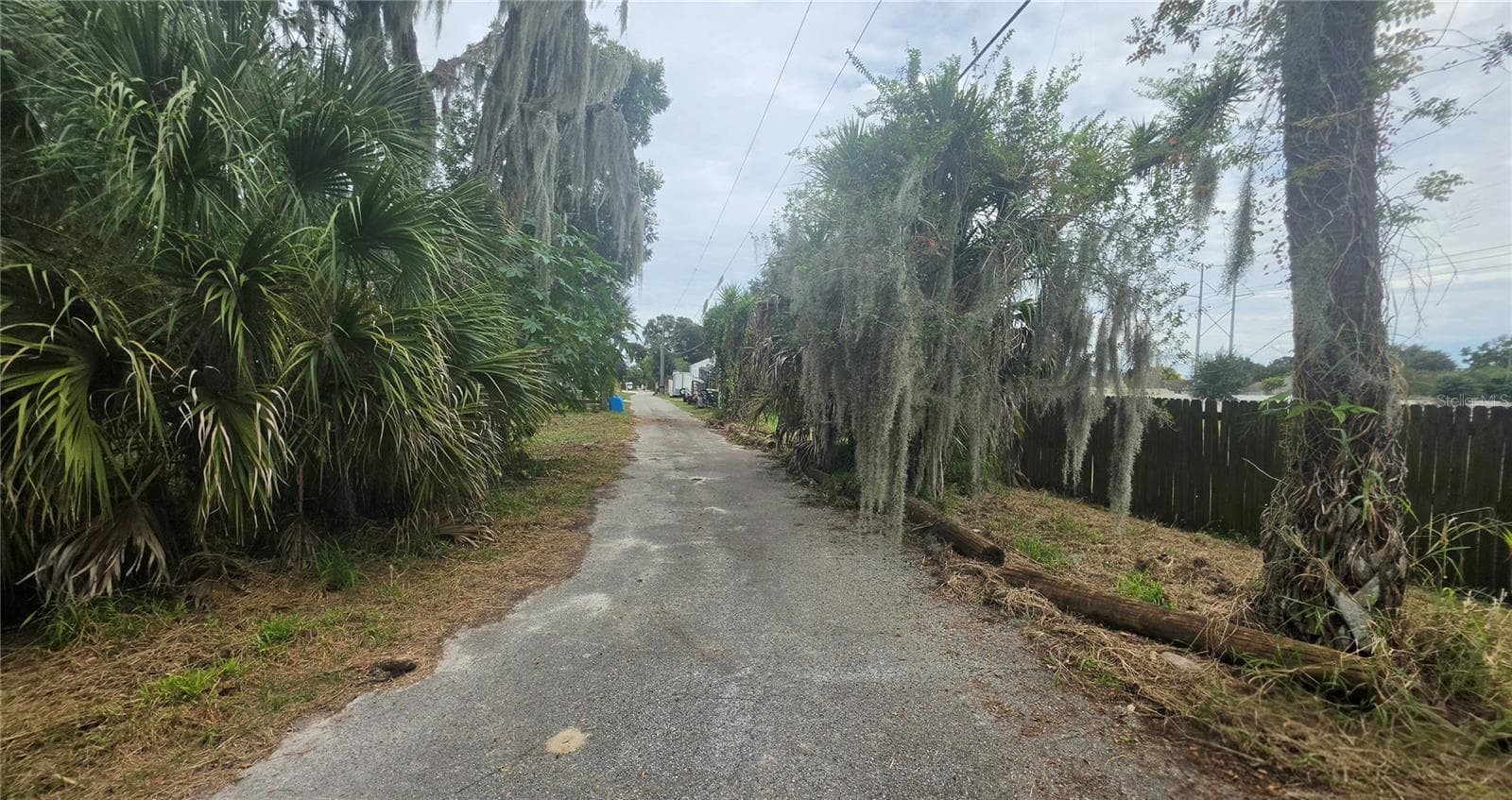 Road view - 920 LAKE COVE TRL, LAKELAND