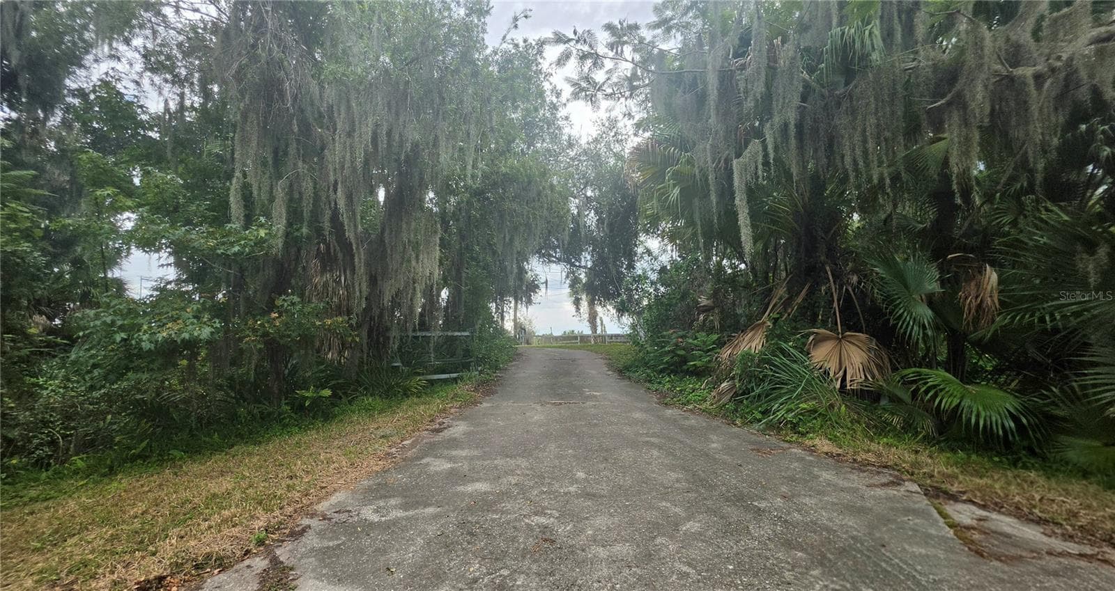 Road view - 920 LAKE COVE TRL, LAKELAND