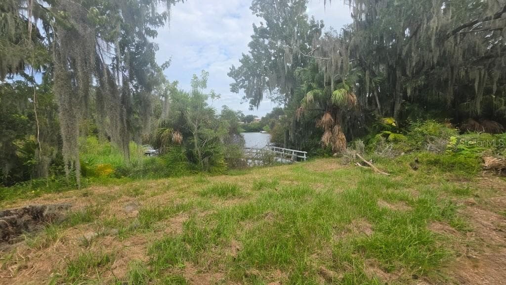 Side yard view - 920 LAKE COVE TRL, LAKELAND