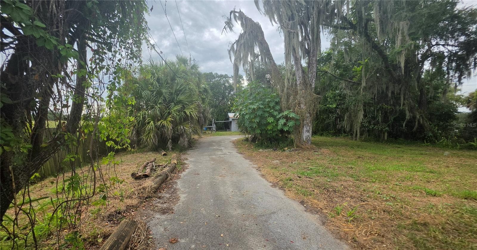Road to cottage - 920 LAKE COVE TRL, LAKELAND
