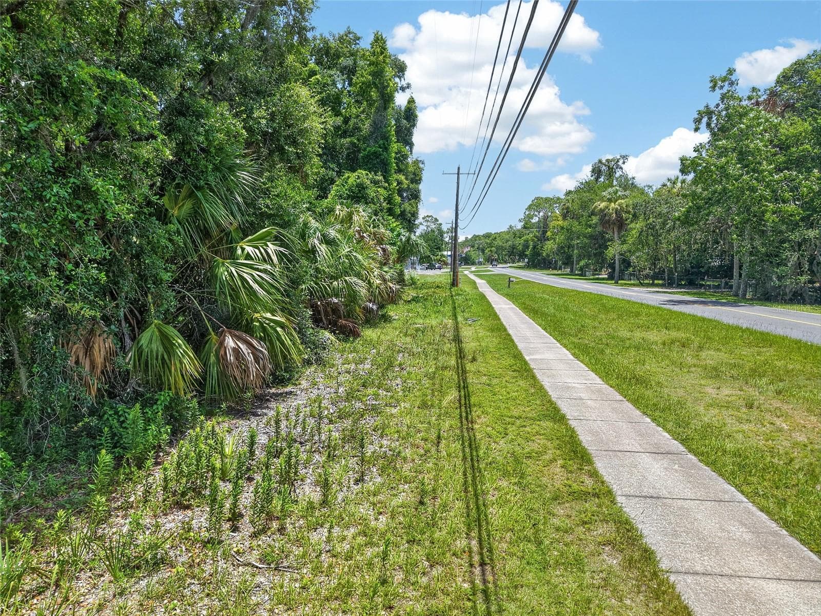 Land at HWY 40, INGLIS, photo 8 of 9