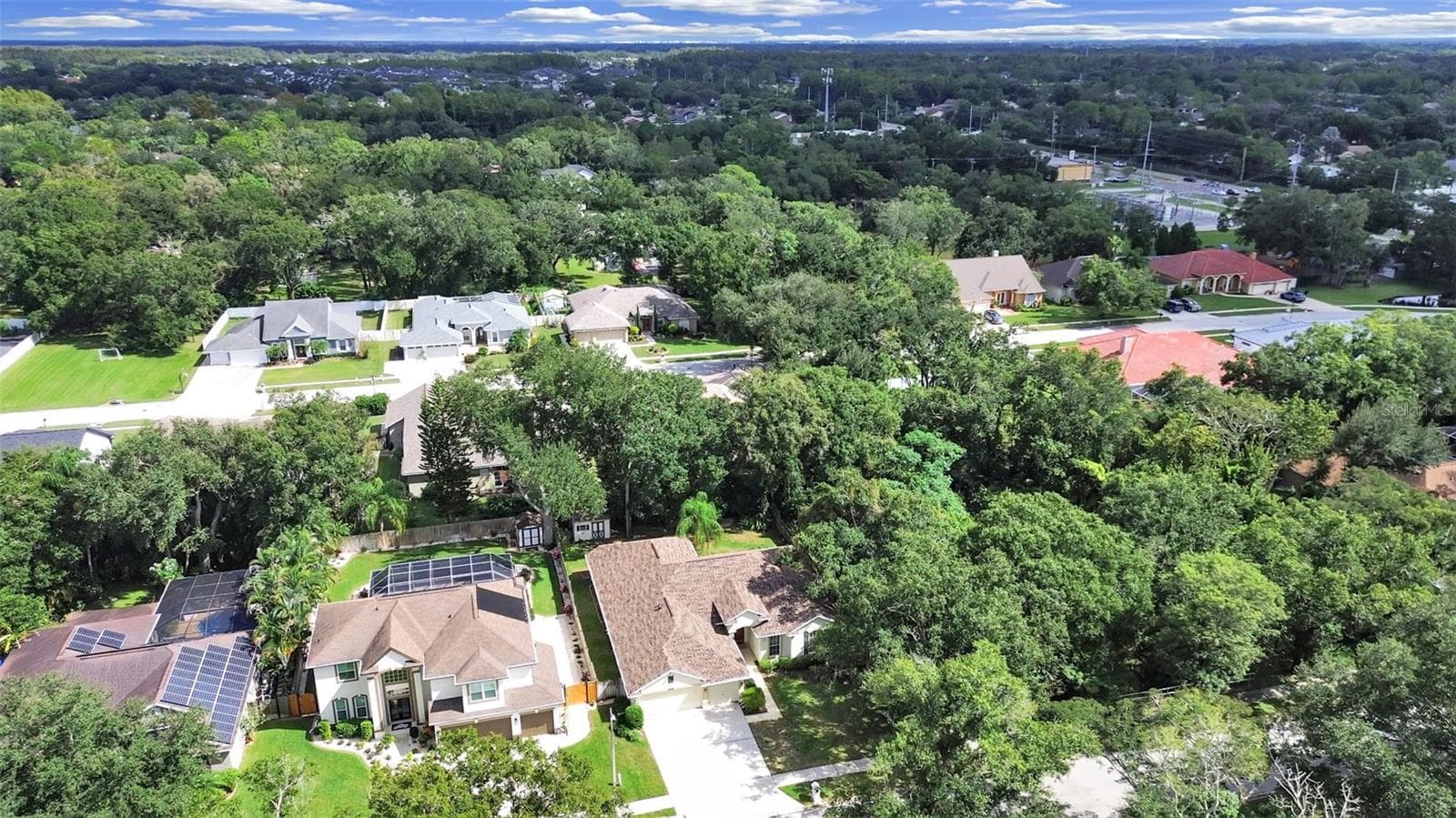 Mature Landscaping - 14915 DEVONSHIRE WOODS PL, TAMPA