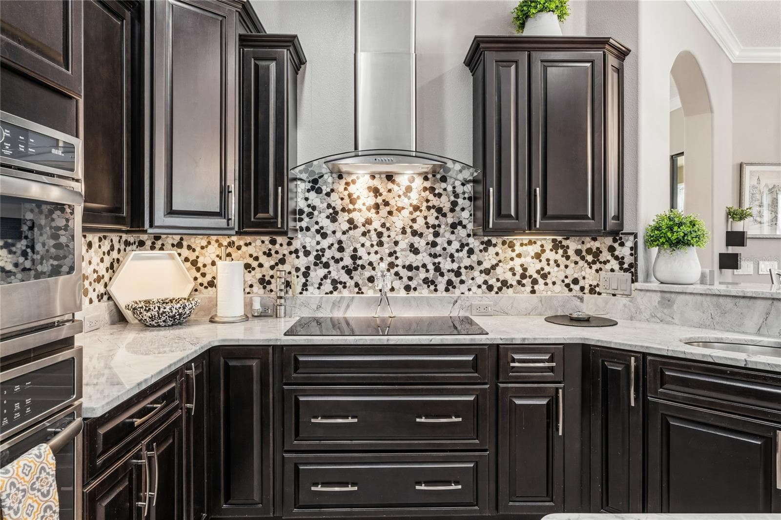 Induction Cook Top with Range Hood - 3021 PALERMO CT, MOUNT DORA