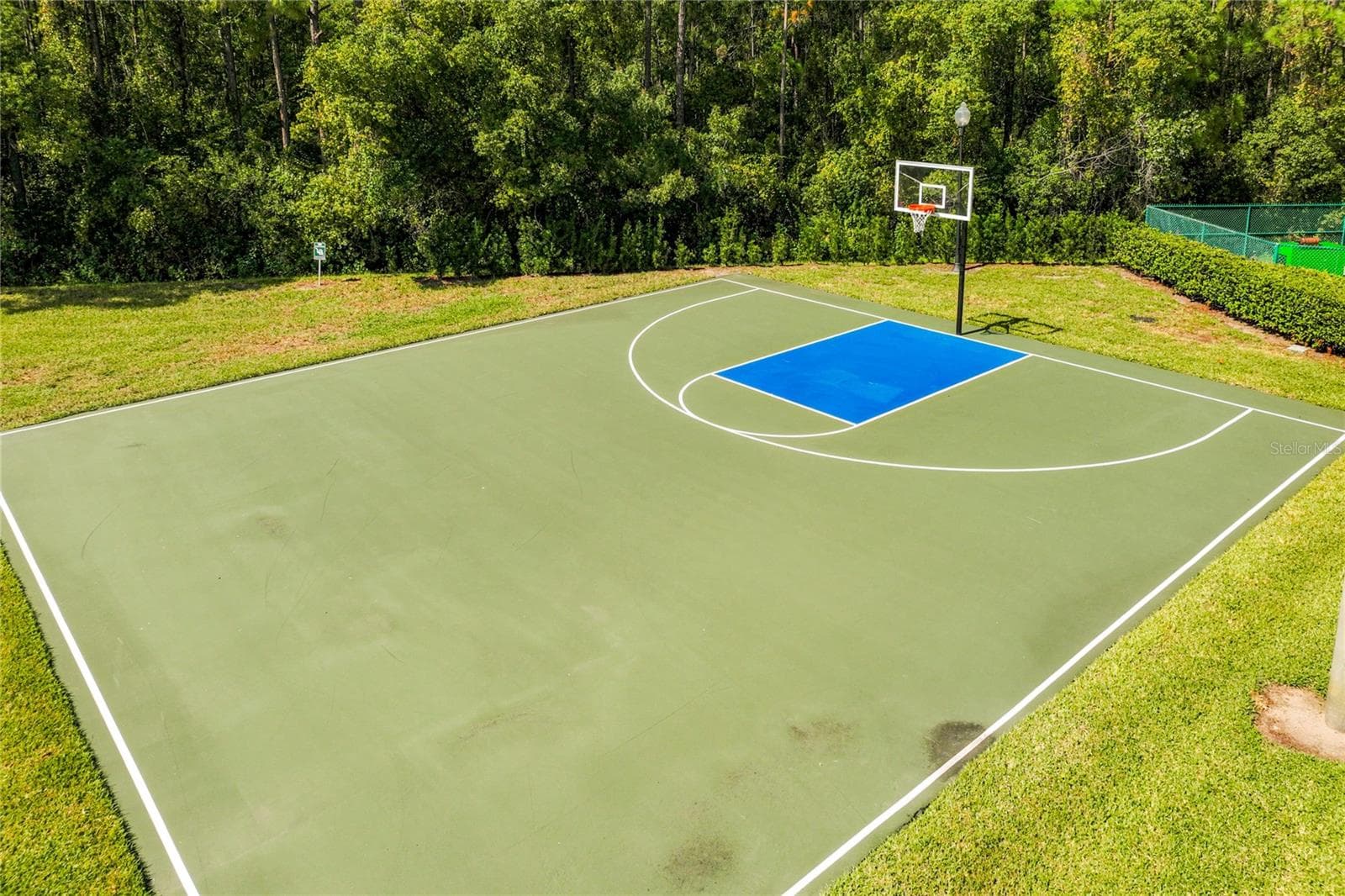 Half Basketball Court - 3021 PALERMO CT, MOUNT DORA