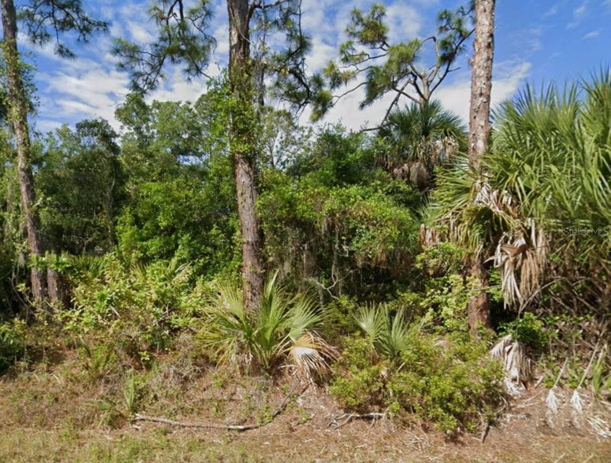 Land at 1375 HAMMACHER LN, PORT CHARLOTTE, photo 2 of 3