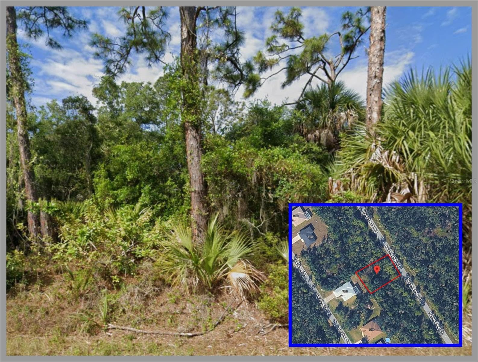Land at 1375 HAMMACHER LN, PORT CHARLOTTE, photo 3 of 3