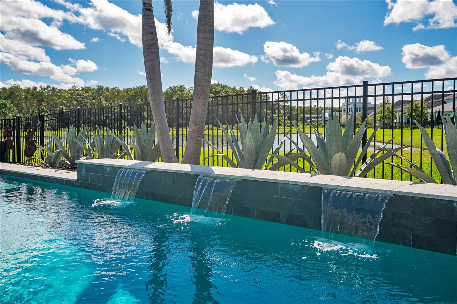 Spa spillover into the heated salt water pool with a fenced backyard and tropical landscaping. - 8336 CANETTI ST, ORLANDO