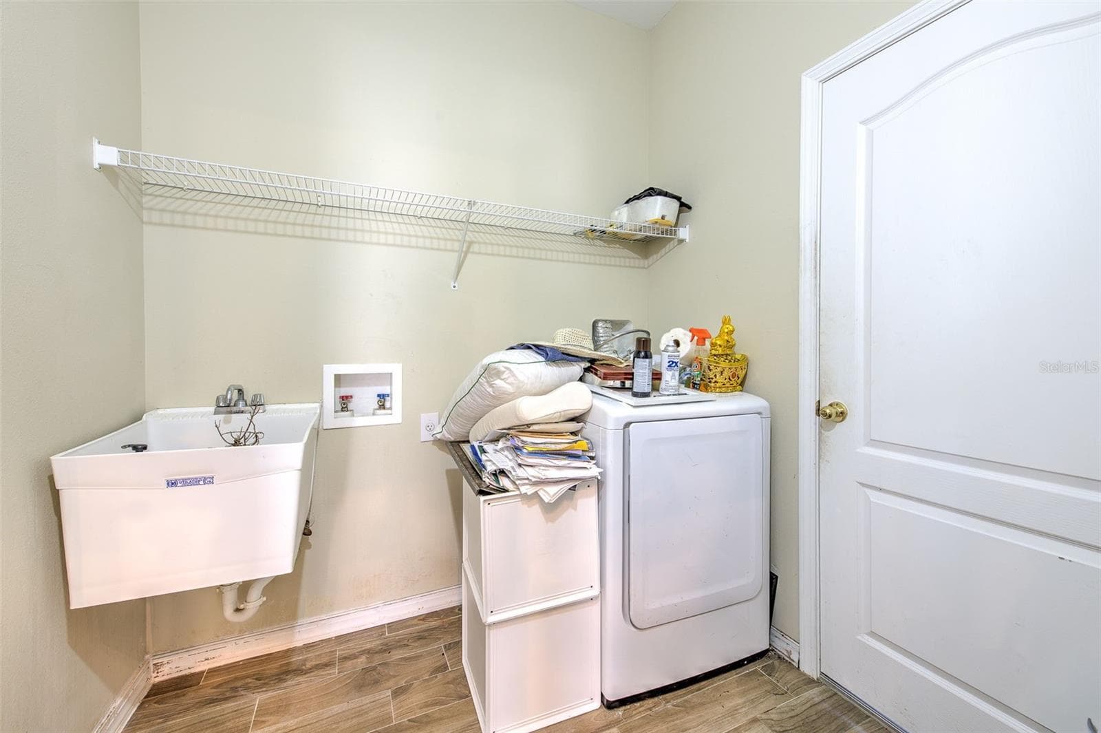 Single Family Residence at 8804 SANDY PLAINS DR, RIVERVIEW, photo 39 of 45