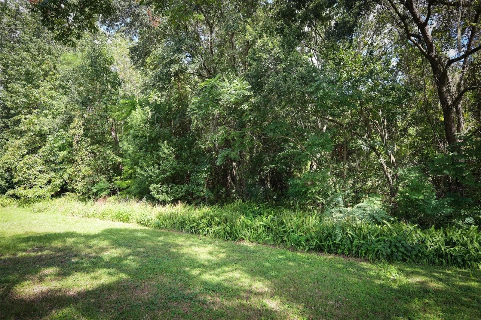 Conservation Area - 3581 FOXCROFT CIR, OVIEDO