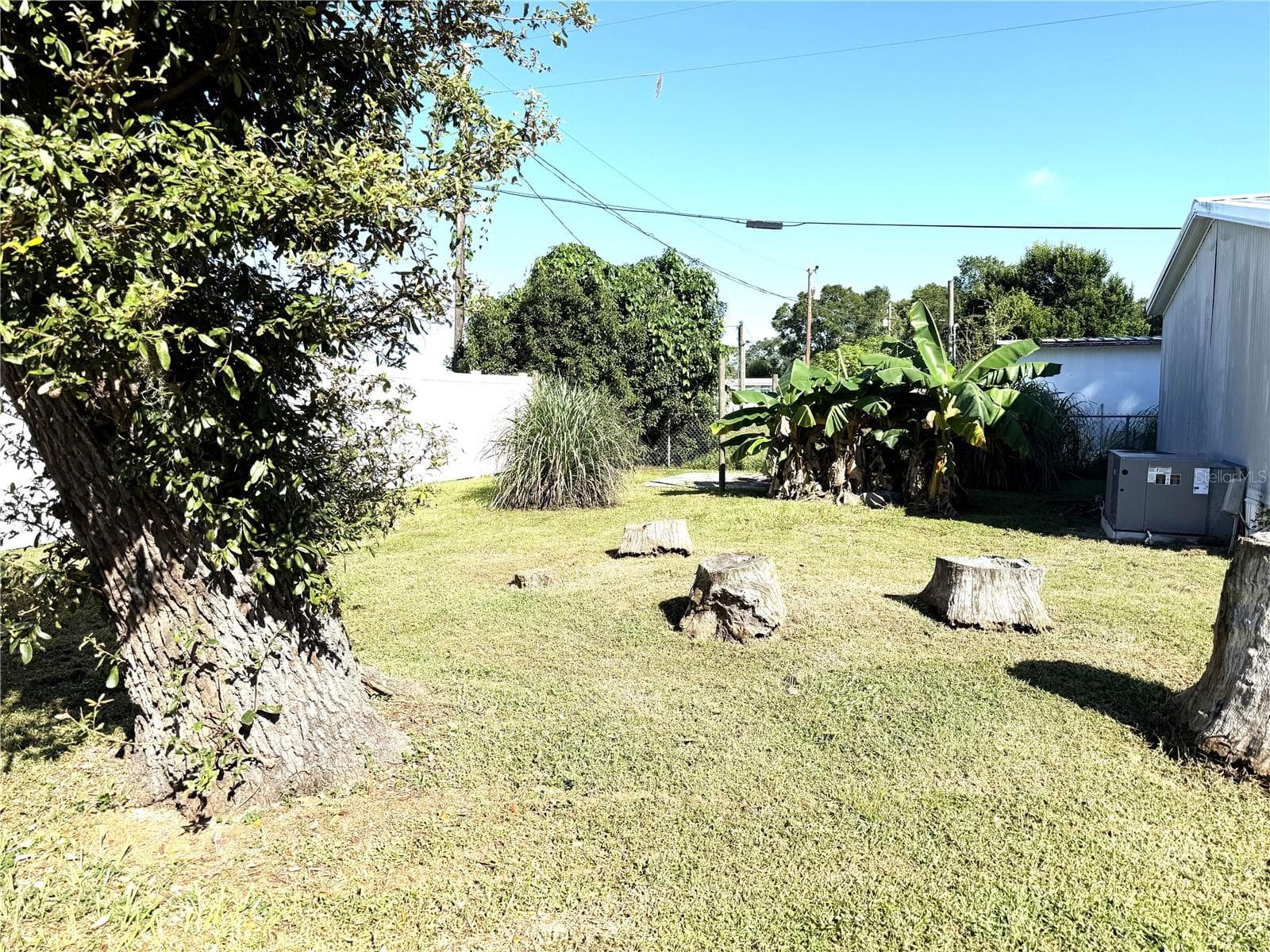 Backyard - 5111 HILL DR, ZEPHYRHILLS