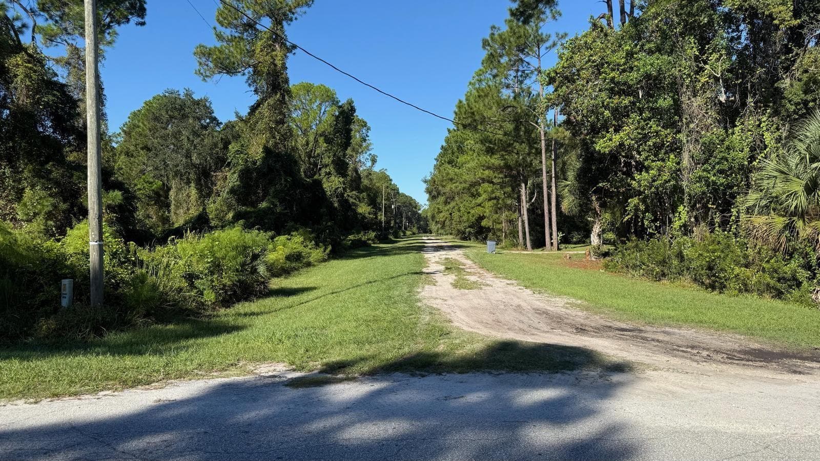 Land at 433 GARDENIA AVE, GEORGETOWN, photo 4 of 22