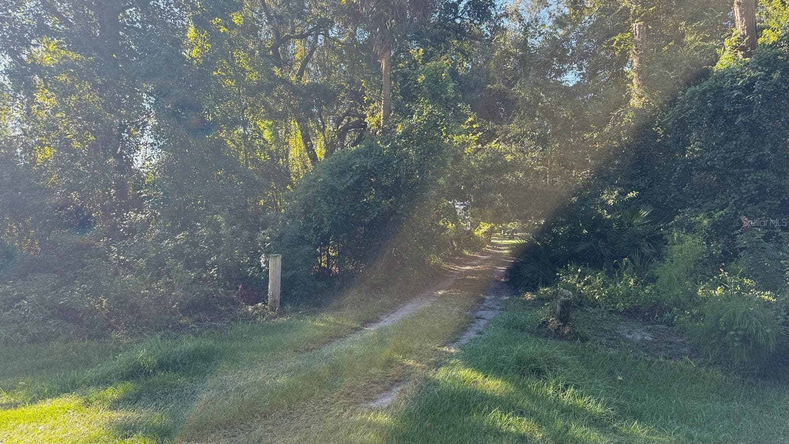 Land at 433 GARDENIA AVE, GEORGETOWN, photo 5 of 22