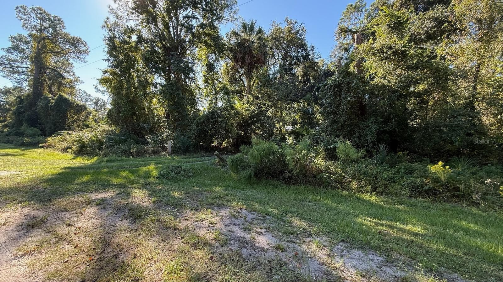 Land at 433 GARDENIA AVE, GEORGETOWN, photo 6 of 22