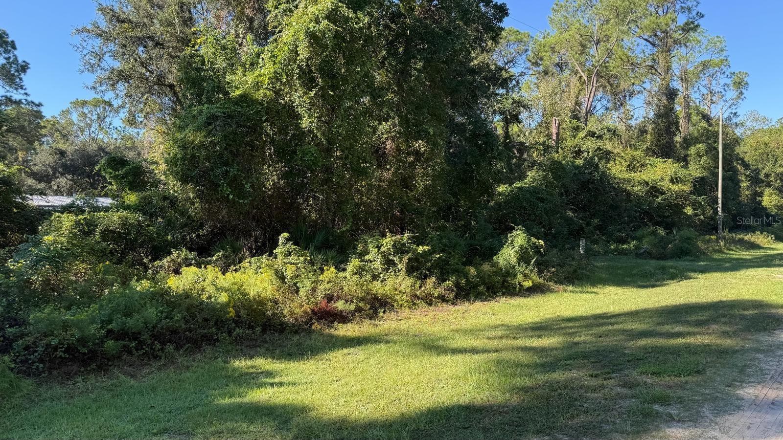 Land at 433 GARDENIA AVE, GEORGETOWN, photo 8 of 22